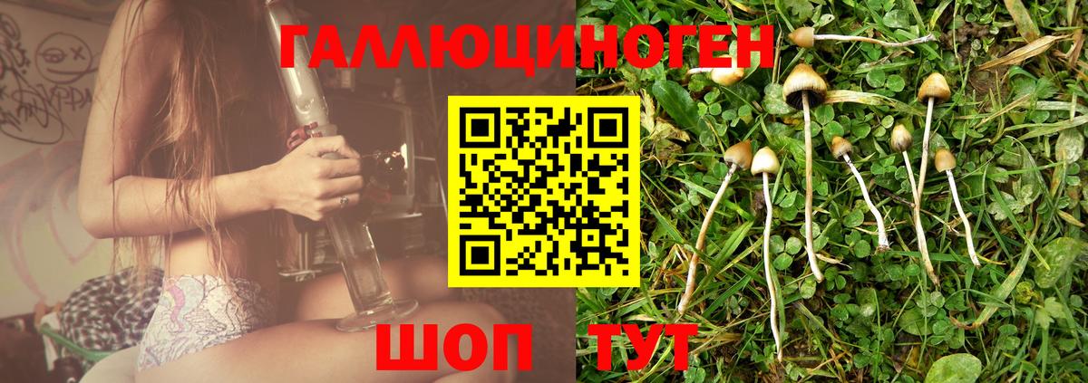 Псилоцибиновые грибы Psilocybe  Вход с VPN  купить закладку  Фрязино 