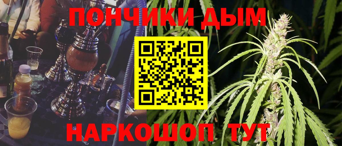 Канабис ГИДРОПОН Фрязино